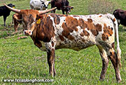 Hang'N Jam - Hang'n Jam - CP_2093_Hang_Jam-20260402