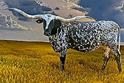 Midnight - Legacy Sale 2026 $40,000
