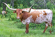 Field Test - I-229967 - FieldTest
