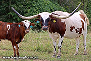 k_5351.jpg